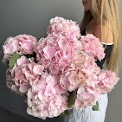 Seller Image